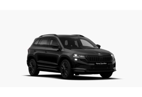 Skoda Karoq #1