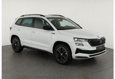 Skoda Karoq #1