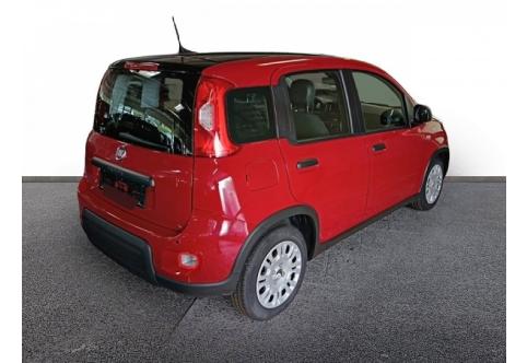 Fiat Panda #6