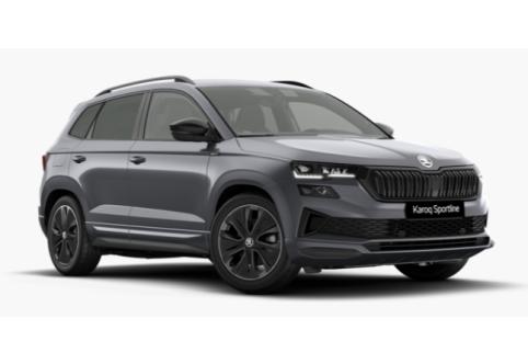 Skoda Karoq #1