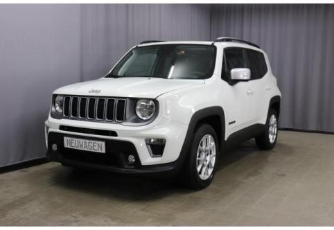 Jeep Renegade #1