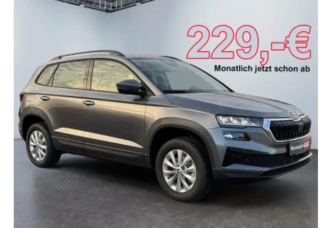 Skoda Karoq #2