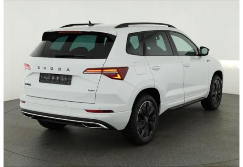 Skoda Karoq #1