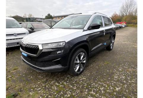 Skoda Karoq #1