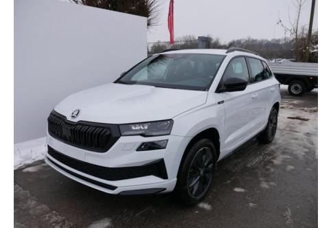 Skoda Karoq #1