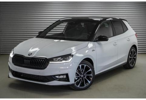 Skoda Fabia #1