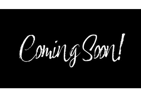 Ford TRANSIT CUSTOM #1