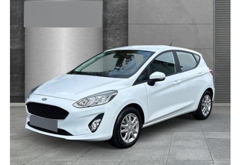 Ford Fiesta #1